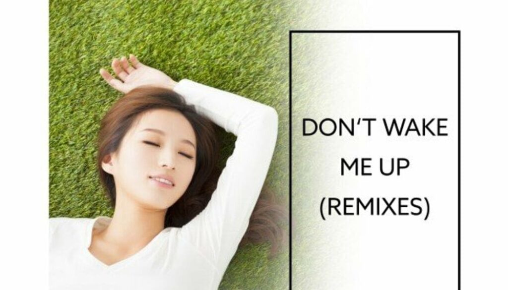 Don't Wake Me Up (Remixes)