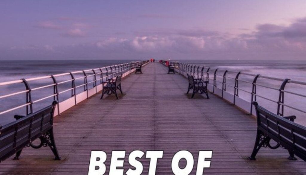 Jay Frog & Sunny Marleen - Best of 2020 (Blackbonez Edition)