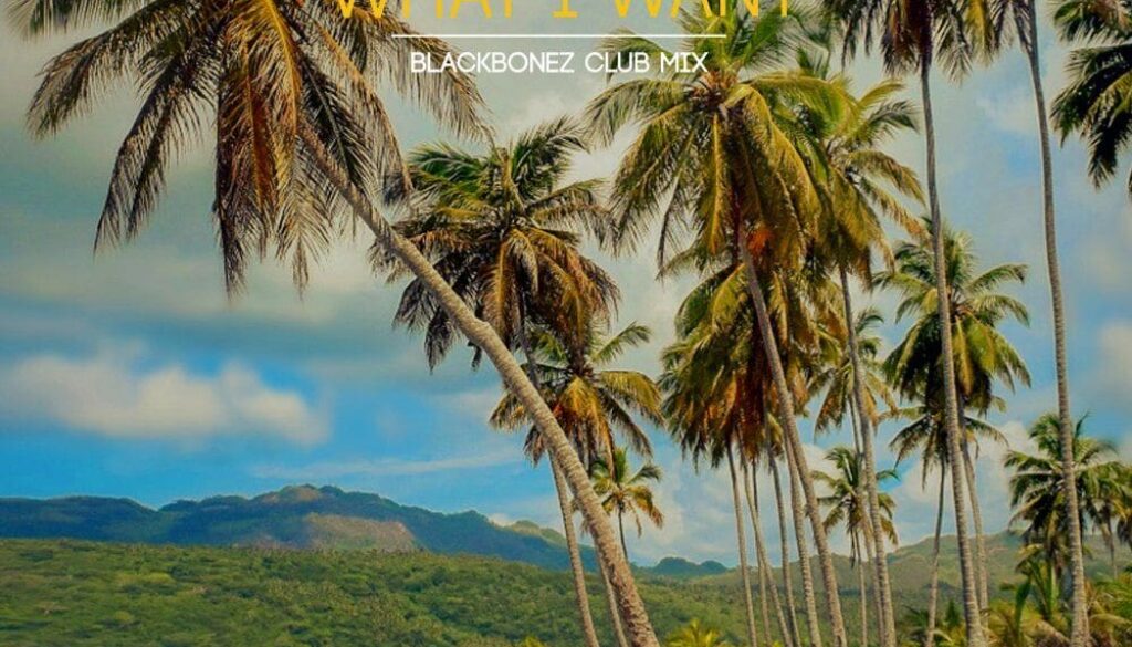 What I Want (BlackBonez Club Mix)