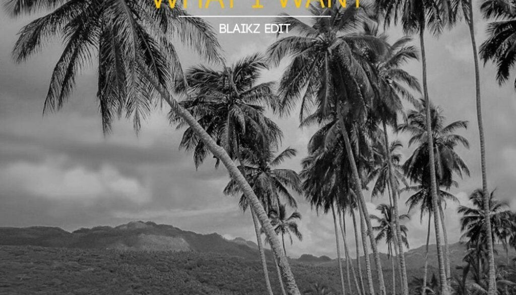 What I Want (Blaikz Edit)